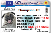 June is Dog Licensing Month at the Town Clerk's Office