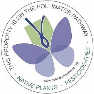 Establishing pollinator-friendly habitats & food sources for bees, butterflies and birds 