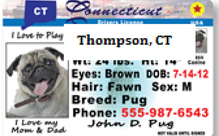 June is Dog Licensing Month at the Town Clerk's Office